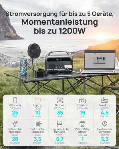 DaranEner NEO300 Pro Portable Power Station | 600W 299Wh